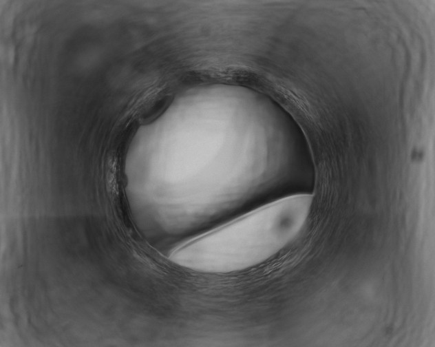 X0000100761060200806190904