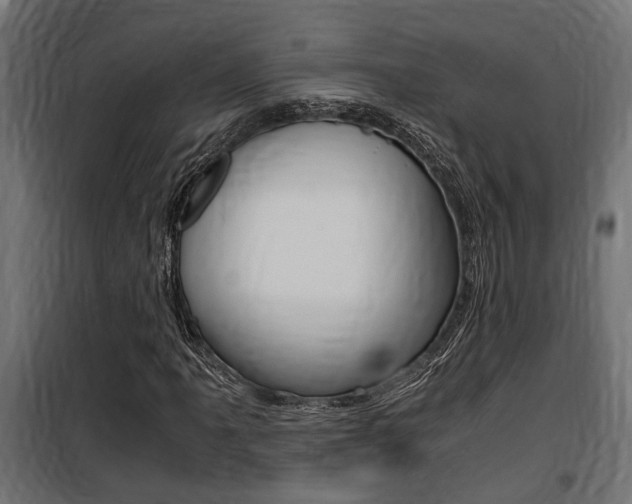 X0000100761061200806190904