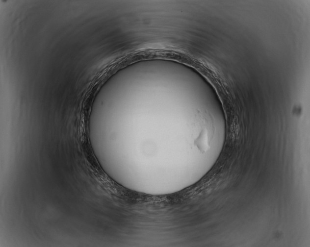 X0000100761062200806190904