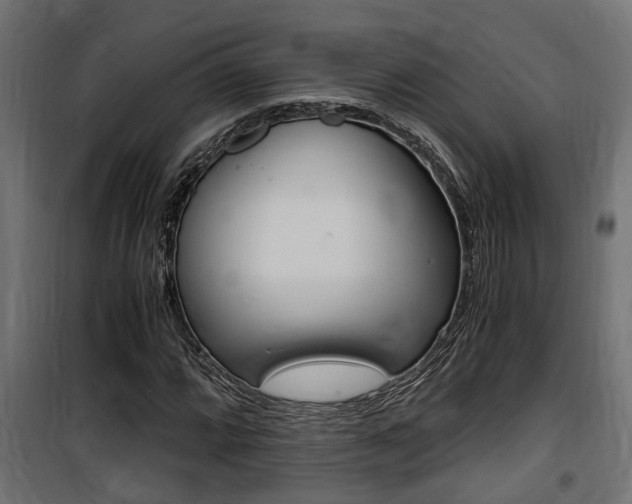 X0000100761064200806190904