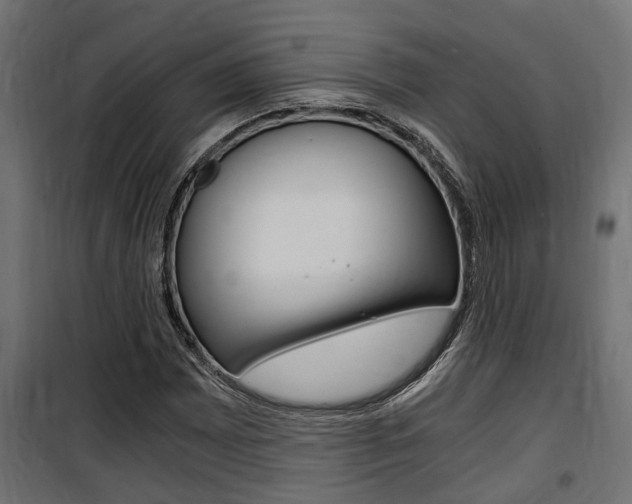 X0000100761065200806190904