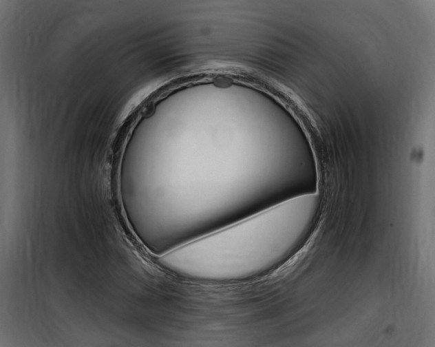 X0000100761066200806190904