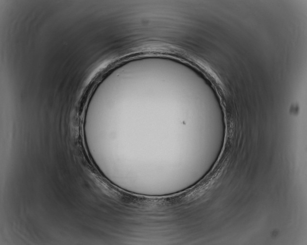 X0000100761067200806190904