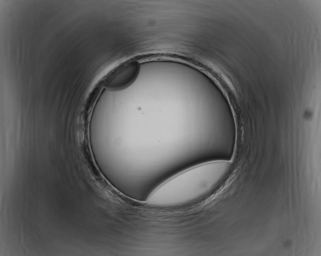 X0000100761069200806190904