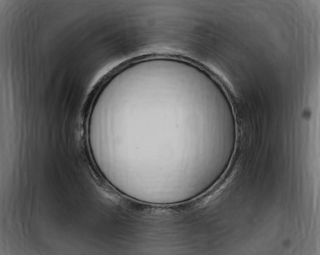 X0000100761070200806190904