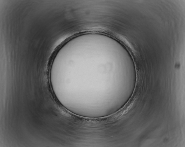 X0000100761071200806190904