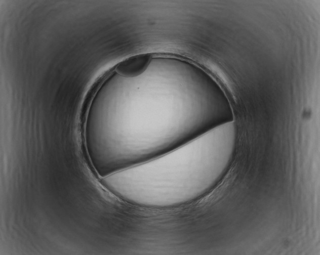 X0000100761072200806190904