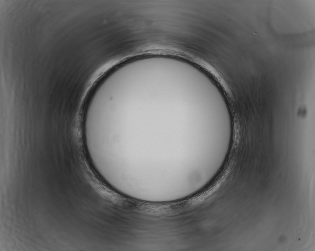 X0000100761074200806190904