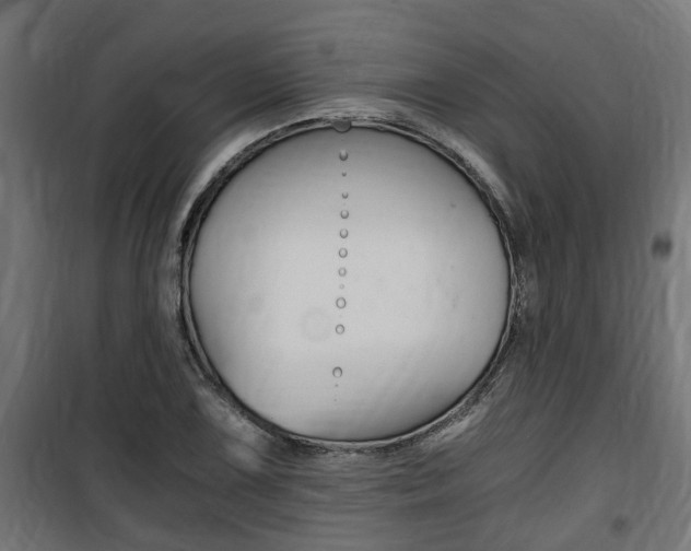 X0000100761075200806190904