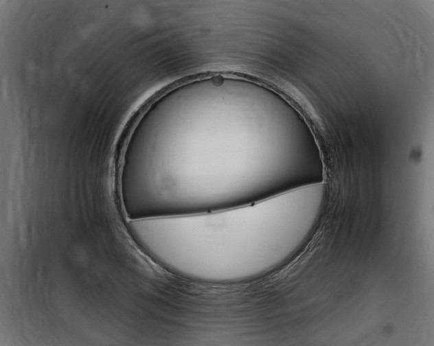 X0000100761076200806190904