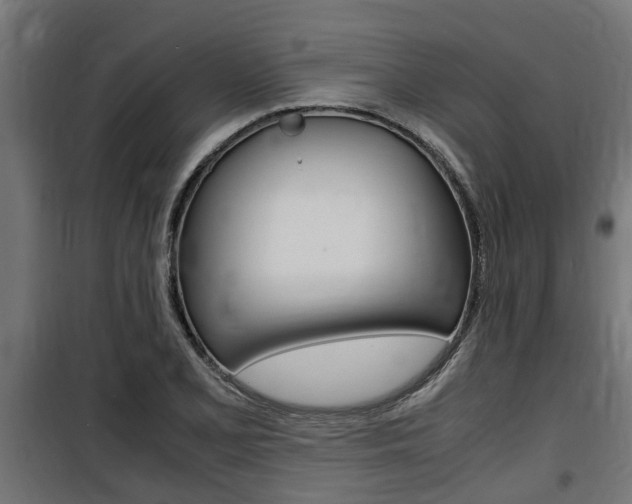 X0000100761077200806190904