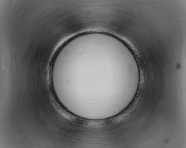 X0000100761078200806190904