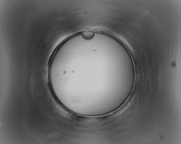 X0000100761079200806190904