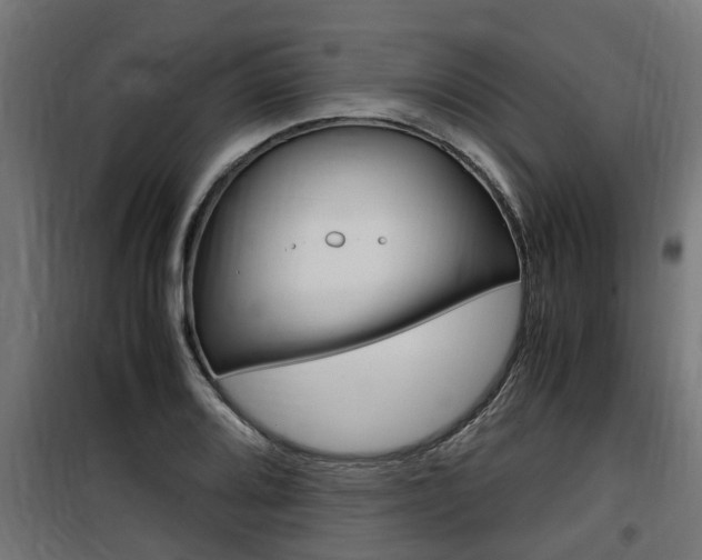 X0000100761080200806190903