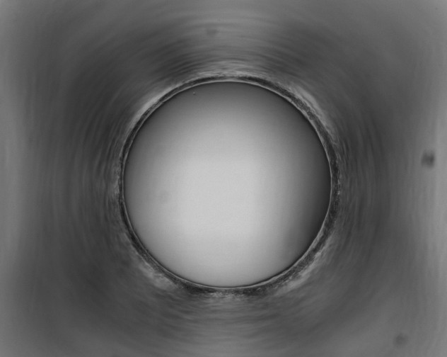 X0000100761081200806190903