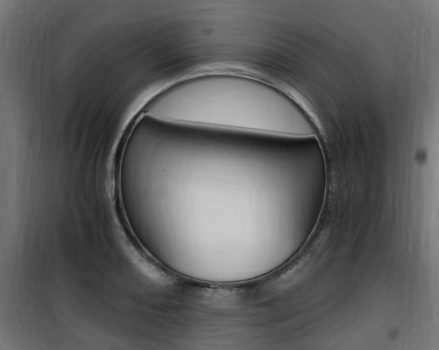 X0000100761082200806190903