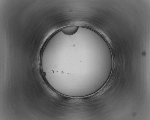 X0000100761083200806190903