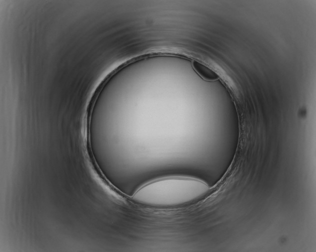 X0000100761084200806190903