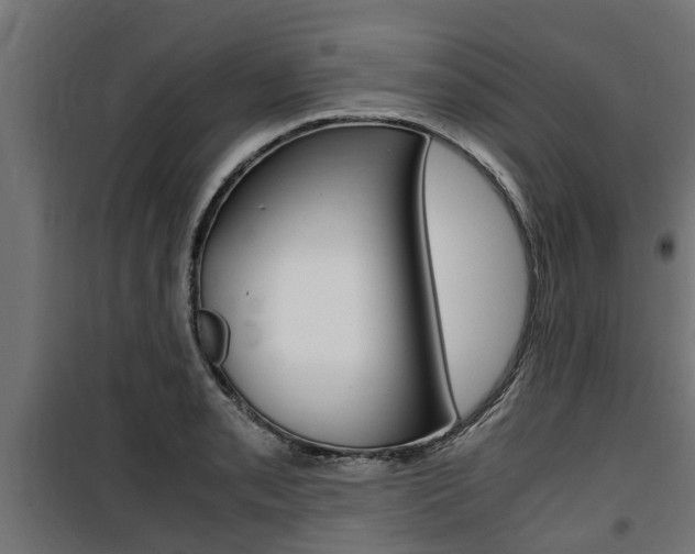 X0000100761085200806190903