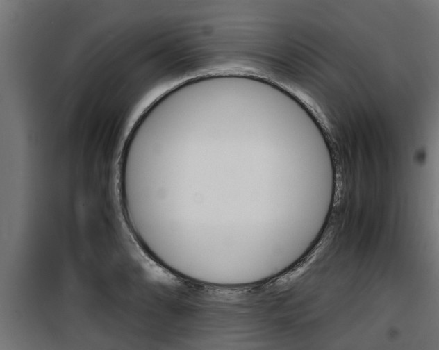 X0000100761086200806190903