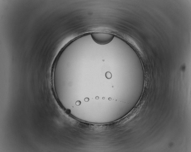 X0000100761087200806190903