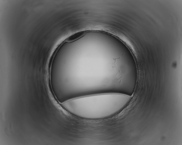 X0000100761088200806190903