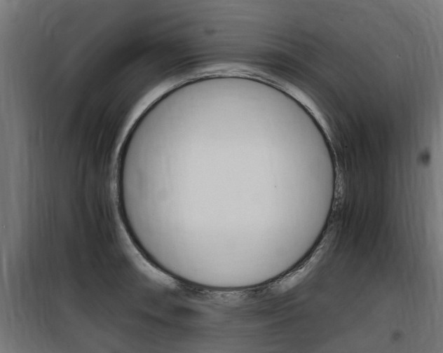 X0000100761090200806190903