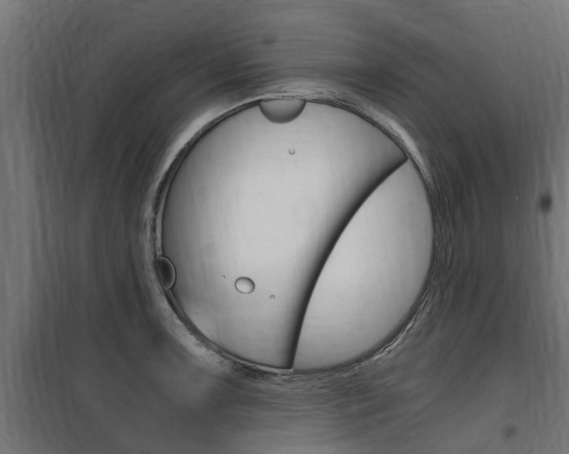 X0000100761091200806190903