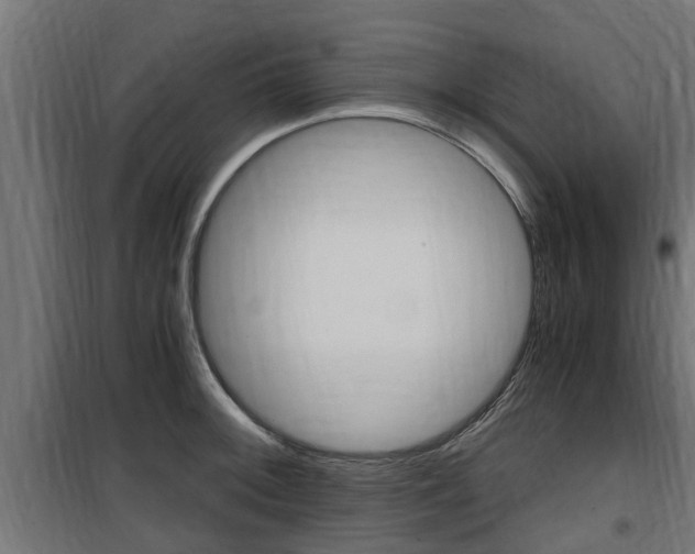 X0000100761092200806190903