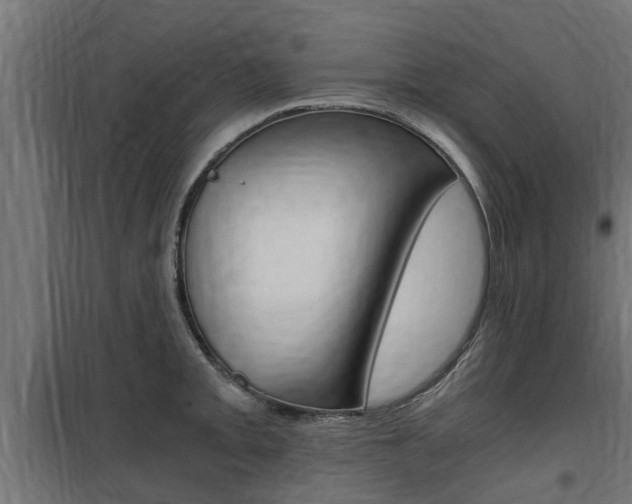 X0000100761093200806190903