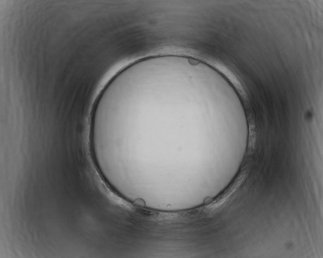 X0000100761094200806190903