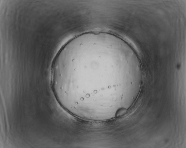 X0000100761095200806190903