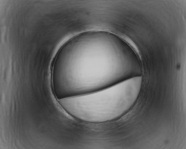 X0000100761096200806190903