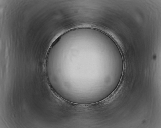 X0000100761097200806190903