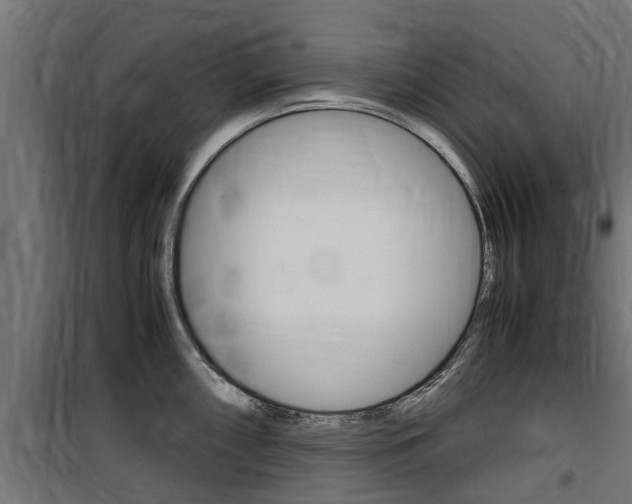 X0000100761098200806190903