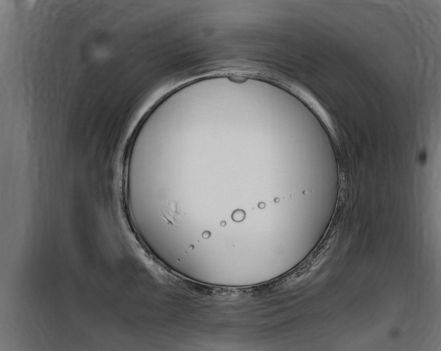 X0000100761099200806190903