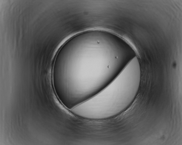 X0000100761100200806190903