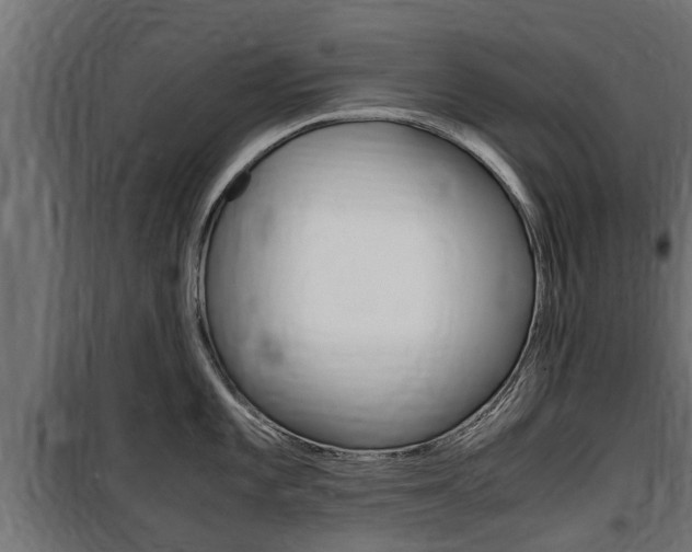 X0000100761101200806190903