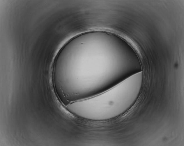 X0000100761102200806190903