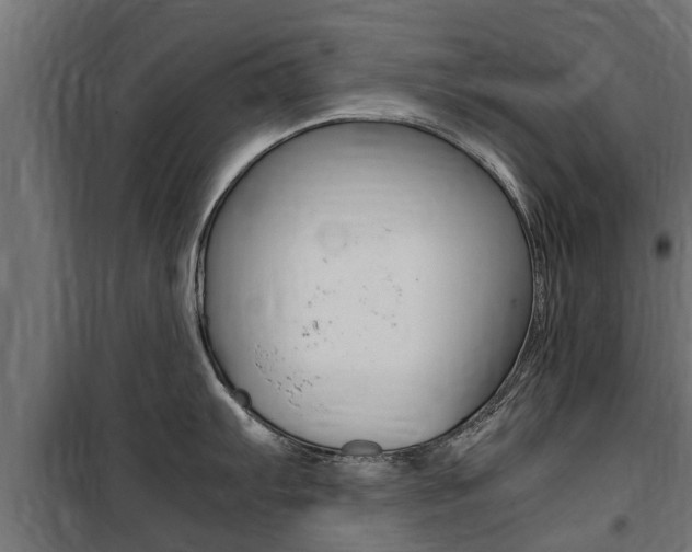 X0000100761103200806190903