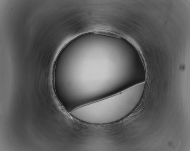 X0000100761104200806190903