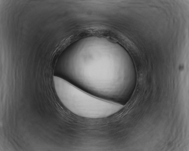 X0000100761108200806190902