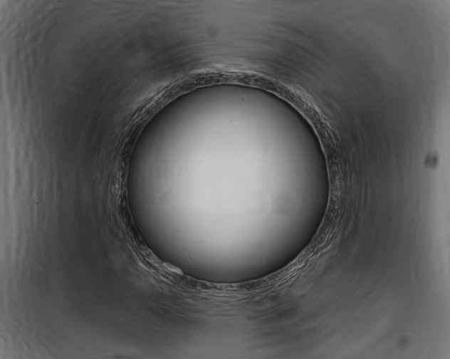 X0000100761110200806190903