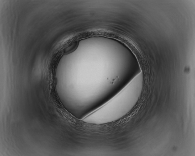 X0000100761111200806190903