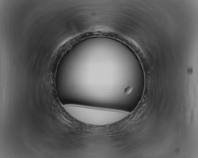 X0000100761112200806190903