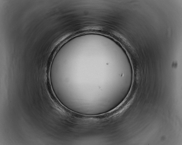 X0000100761113200806190903