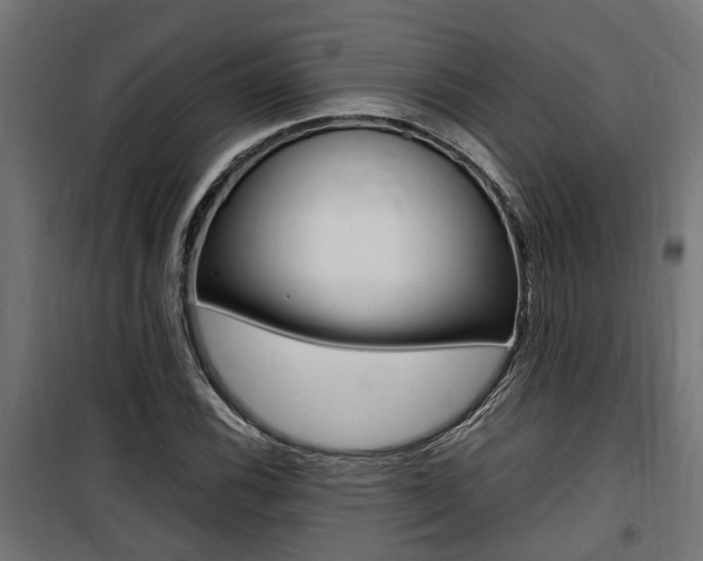 X0000100761116200806190903