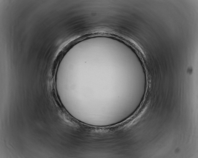 X0000100761117200806190903