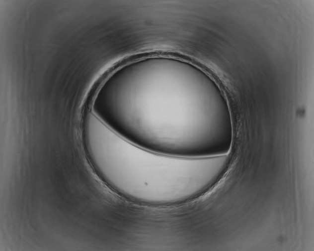 X0000100761118200806190903