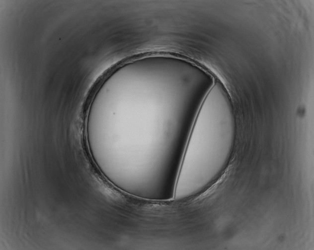 X0000100761119200806190903